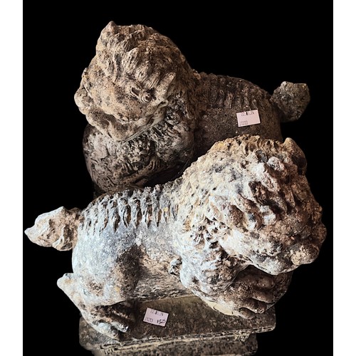 480 - A pair of reconstituted stone Fo Dogs / Temple Dogs on pedestal bases, 50cm high.