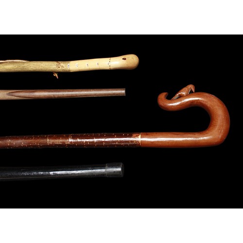 502 - Four assorted walking sticks, comprising a stained staff with applied worm wearing a hat wrapping ar... 