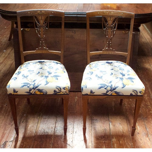 739 - A good pair of Edwardian inlaid mahogany standard chairs with pierced vase back splats, raised on sq... 