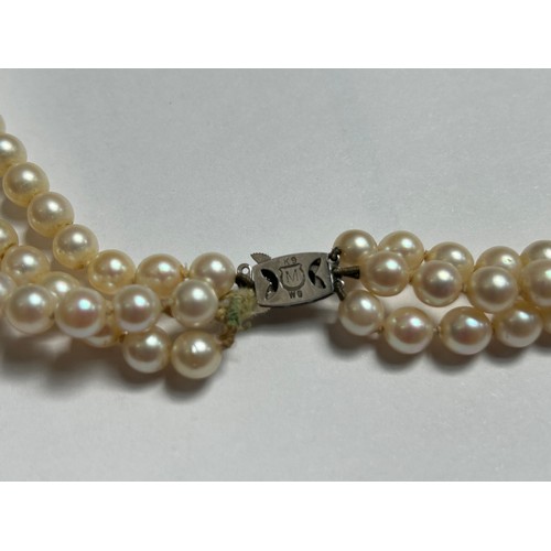 328 - A 3-row string of Mikimoto pearls, with 9k white gold and pearl clasp, in original fitted and brande... 