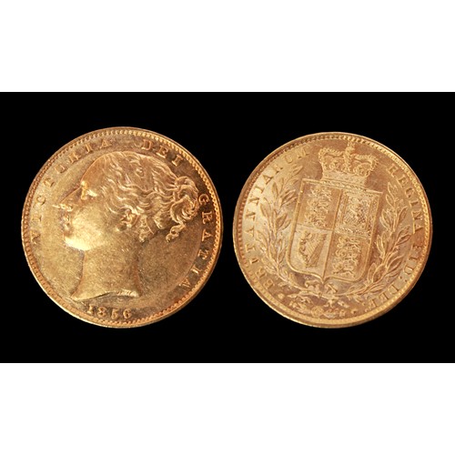 647 - An 1856 Gold Sovereign, Queen Victoria Young Head, Shield Back, VF 8.00g.