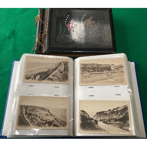 355 - Two postcard albums - one containing a collection of 146 standard-size postcards of mainly Bournemou... 