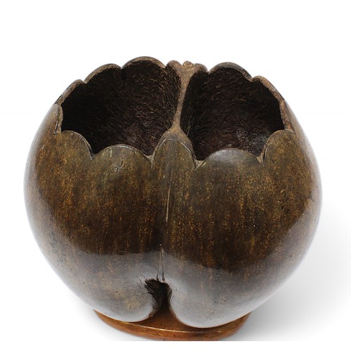 376 - A Coco de Mer (Lodoicea Maldivica) from the Seychelles, the top removed and with shaped rim, mounted... 