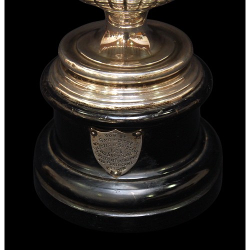 179 - A George V silver twin-handled trophy and cover by William Neale & Son Ltd, Birmingham, 1922, with s... 