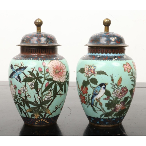 210 - A pair of Japanese Meiji period lidded urns. Turquoise ground and decorated with birds perched on fl... 