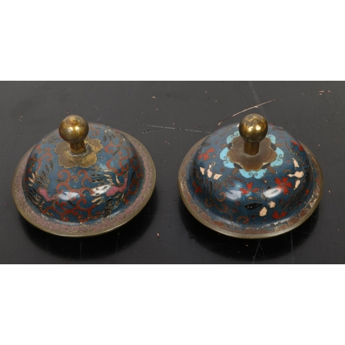 210 - A pair of Japanese Meiji period lidded urns. Turquoise ground and decorated with birds perched on fl... 