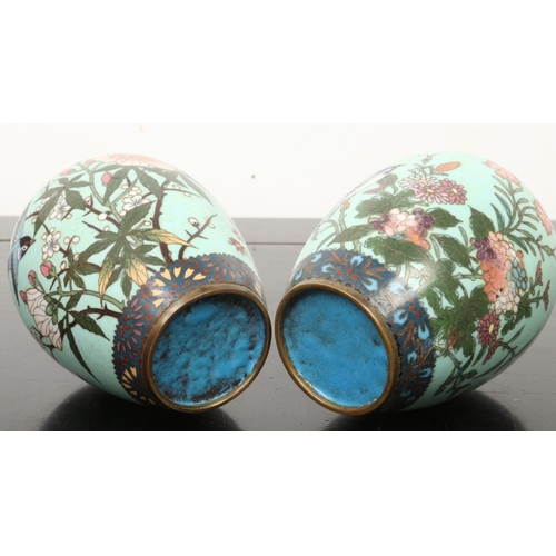 210 - A pair of Japanese Meiji period lidded urns. Turquoise ground and decorated with birds perched on fl... 