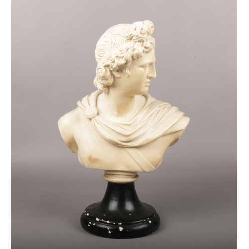 66 - After Classical Antiquity, a plaster bust of Apollo Belvedere on black sockle plinth, 34.5cm.