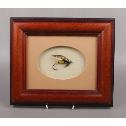 344 - A framed and mounted fishing fly, details to the reverse, Jock Scott 1850, dressing as per T. E. Pry... 