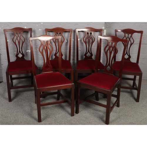 648 - A set of 6 mahogany Georgian style dining chairs.