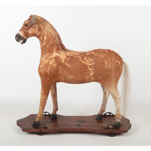 74 - A child's 19th century toy pull along horse. With pony hide, raised on a pine plinth with metal whee... 