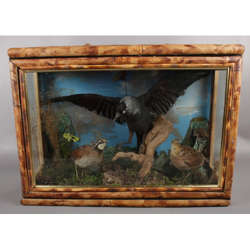 123 - A cased taxidermy study of a crow and two partridge on naturalistic base.