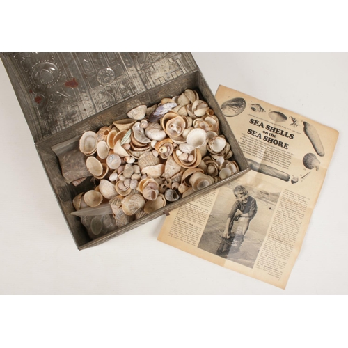 220 - A metal tin with contents of various sea shells.