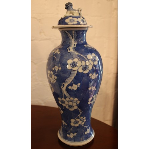 280 - An early 20th Century Chinese blue and white prunus blossom covered baluster vase. H: 33cm.