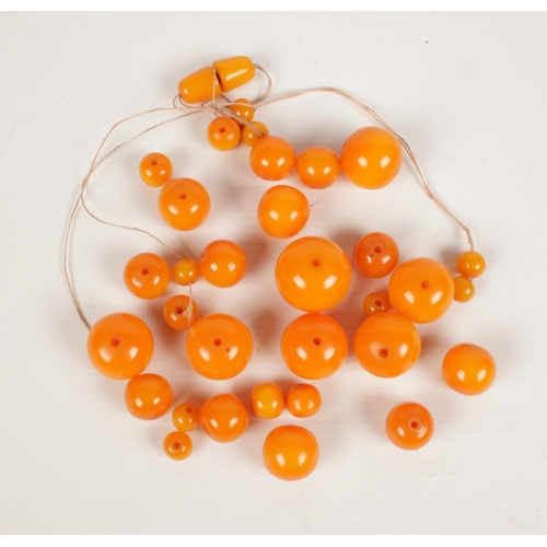 595 - An ochre amber necklace. Comprising some 34 beads with amber screw cup fastener, Approximately 60 cm... 