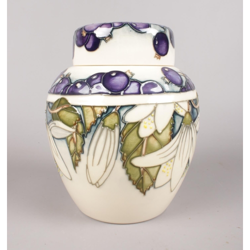 439 - A Moorcroft ginger jar - decorated with blueberries & white flowers (Juneberry), dated 2000. H: 16cm... 