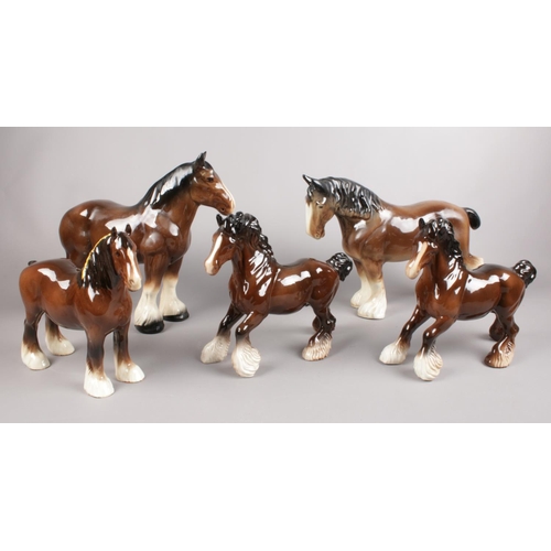 445 - A group of mainly Beswick Horse figures. Three brown shire horses (21cm height) and two similar exam... 