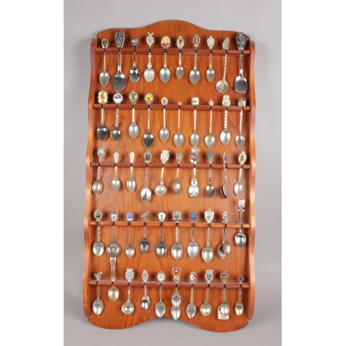 511 - An oak display rack with contents of collectors spoons. Some spoons with enamel decoration. (approxi... 