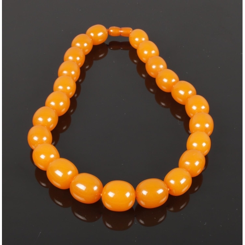 594 - A spice Amber necklace, comprising of 25 graduated beads with screw cup fastener, 53 cm long, widest... 