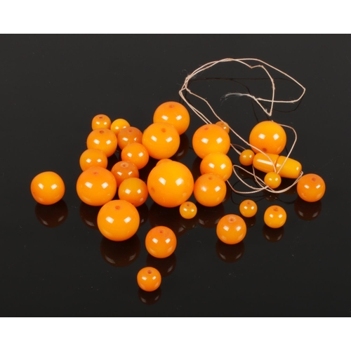 595 - An ochre amber necklace. Comprising some 34 beads with amber screw cup fastener, Approximately 60 cm... 