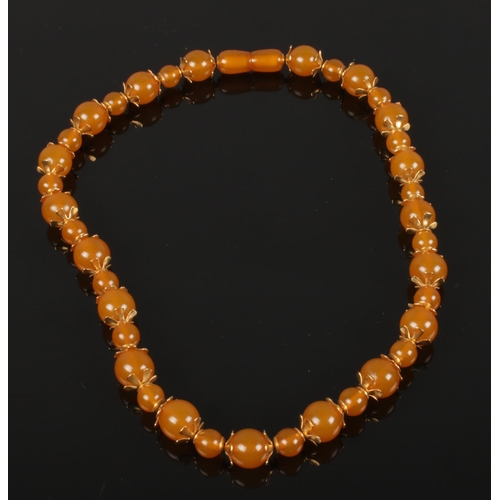 598 - An apricot amber and yellow metal necklace with screw cup fastener 46 cm long