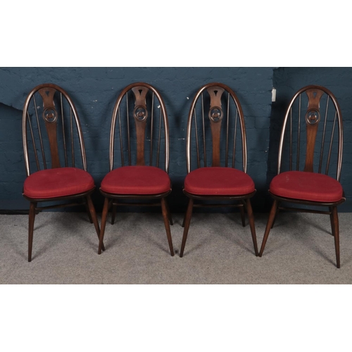 409 - Four Ercol swan back dining chairs. (100cm height, 44cm width)