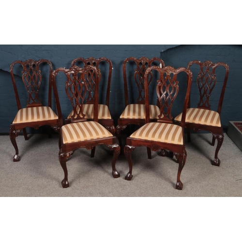 415 - A set of six Mahogany Chippendale Style dining chairs. Comprising of upholstered striped seats. H:10... 