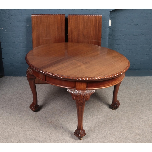 416 - A large Mahogany extending dining table with ball & claw feet. Comprising of carved upper legs, D sh... 