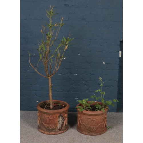 484 - A pair of terracotta garden planters. With cherub decoration. (height 31cm, diameter 41cm).