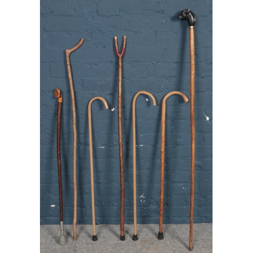 505 - A bundle of walking sticks. Including curved handle, dog head examples, etc.