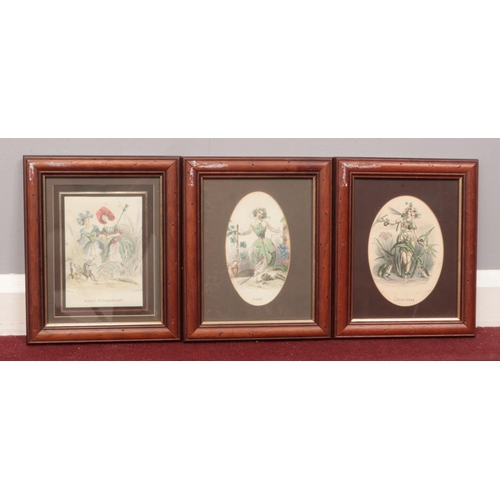 157 - Three small framed French Charles Michel Geoffroy prints. Bleuet et coquelicot, vigne and fleche-d'e... 