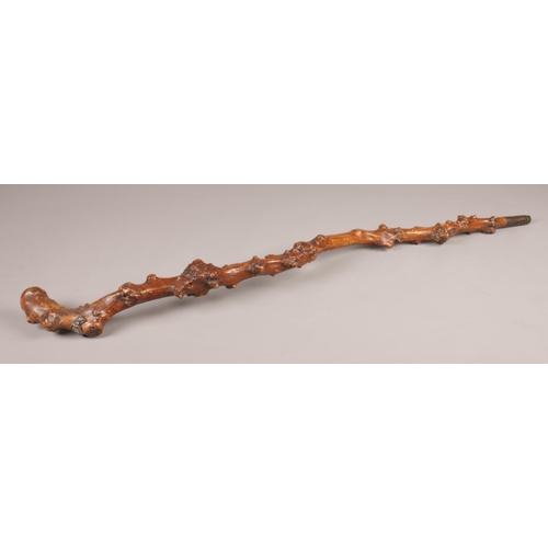 93 - A late 19th/early 20th century rootwood stick. 94cm.