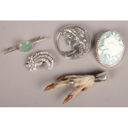 265 - Five silver brooches. Including Pheasant foot brooch example, etc.