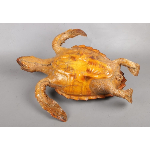 104 - An antique taxidermy sea turtle. In swimming pose, 57cm length, 33cm width.