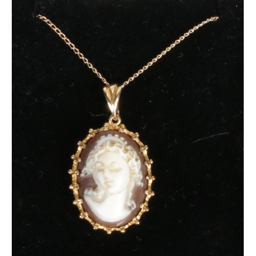 372 - A 9ct gold cameo pendant on 9ct gold chain.