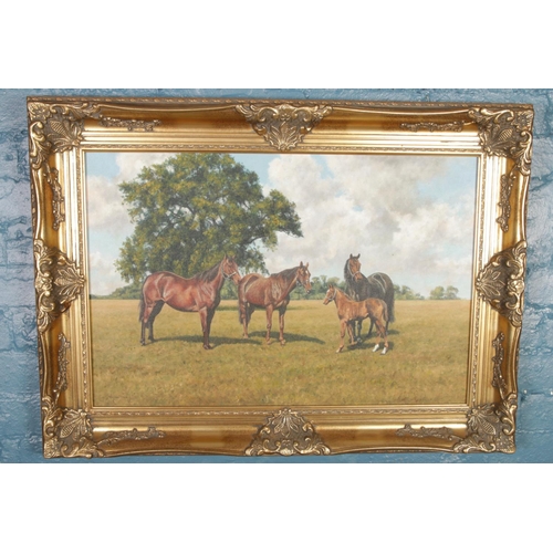 307 - Stephen Park, gilt framed oil on canvas depicting horse and foal. (50cm x 75cm)