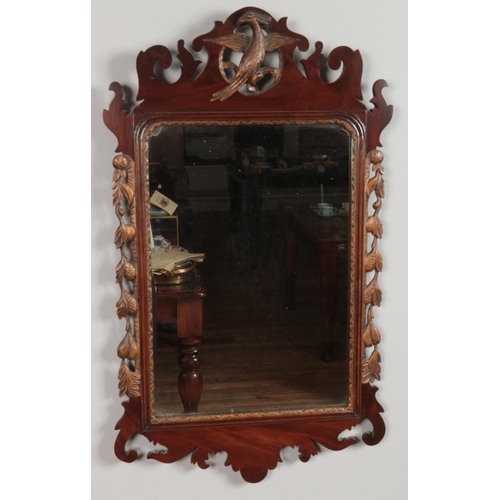 181 - A George III mahogany fret mirror with gilt Hoho bird decoration. 81cm x 48cm.