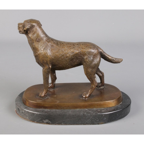 52 - A bronze model of a Labrador dog, raised on marble plinth. Unsigned.