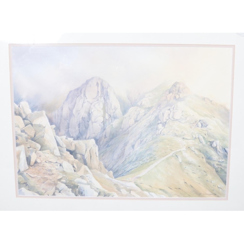 381 - A large original John Campbell landscape watercolour. Framed and signed by the artist. H:52cm W:73cm... 