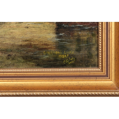 366 - A C. Tiplady oil on canvas in gilt frame. Sprotborough Loch landscape. Signed 1920's. Dimensions inc... 