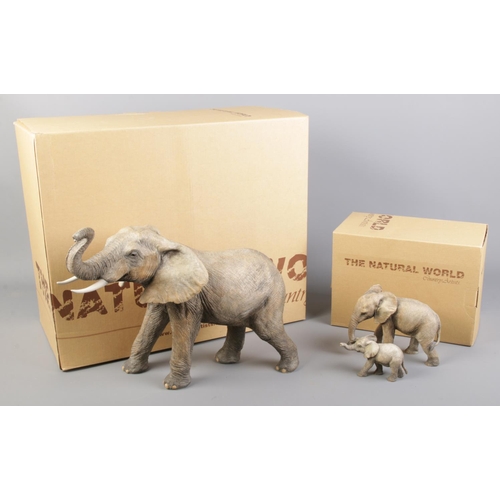 72 - A large boxed Country Artists The Natural World Collection elephant along with two matching smaller ... 