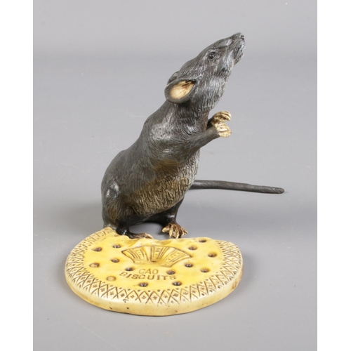 40 - A cold painted bronze model of a rat with a Cao Biscuit. Bearing Franz Bergman stamp.