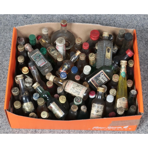 252 - A box of alcohol miniatures. Includes whisky, brandy, gin etc.