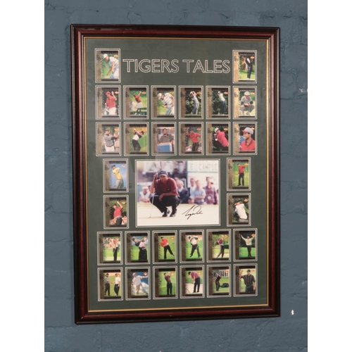 388 - A collection of framed Tigers Tales golf cards with signed central photograph. Certificate of authen... 