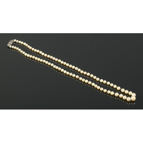 489 - A string of cultured pearls, on silver bow shaped clasp.