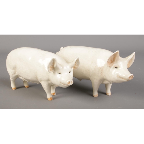 157 - Two Beswick figures of pigs. Wall Queen and Wall Champion Boy.