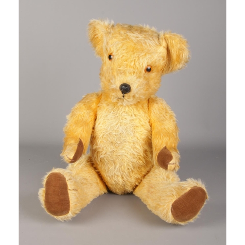 161 - A large pedigree teddy bear. Approx. 58cm tall.