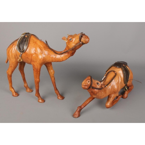 84 - Two leather mounted camels. Including kneeling example, etc.