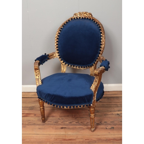 489 - A gilt framed arm chair re-upholstered in royal blue velvet.