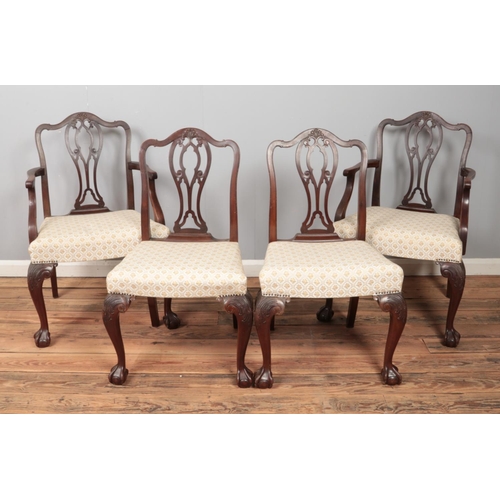 532 - A set of eight Victorian Chippendale style dining chairs, including two carvers. Feature pierced spl... 